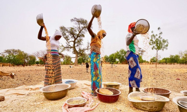 lancement-du-programme-fsrp-au-senegal-:-230-millions-de-dollars-pour-la-resilience-alimentaire